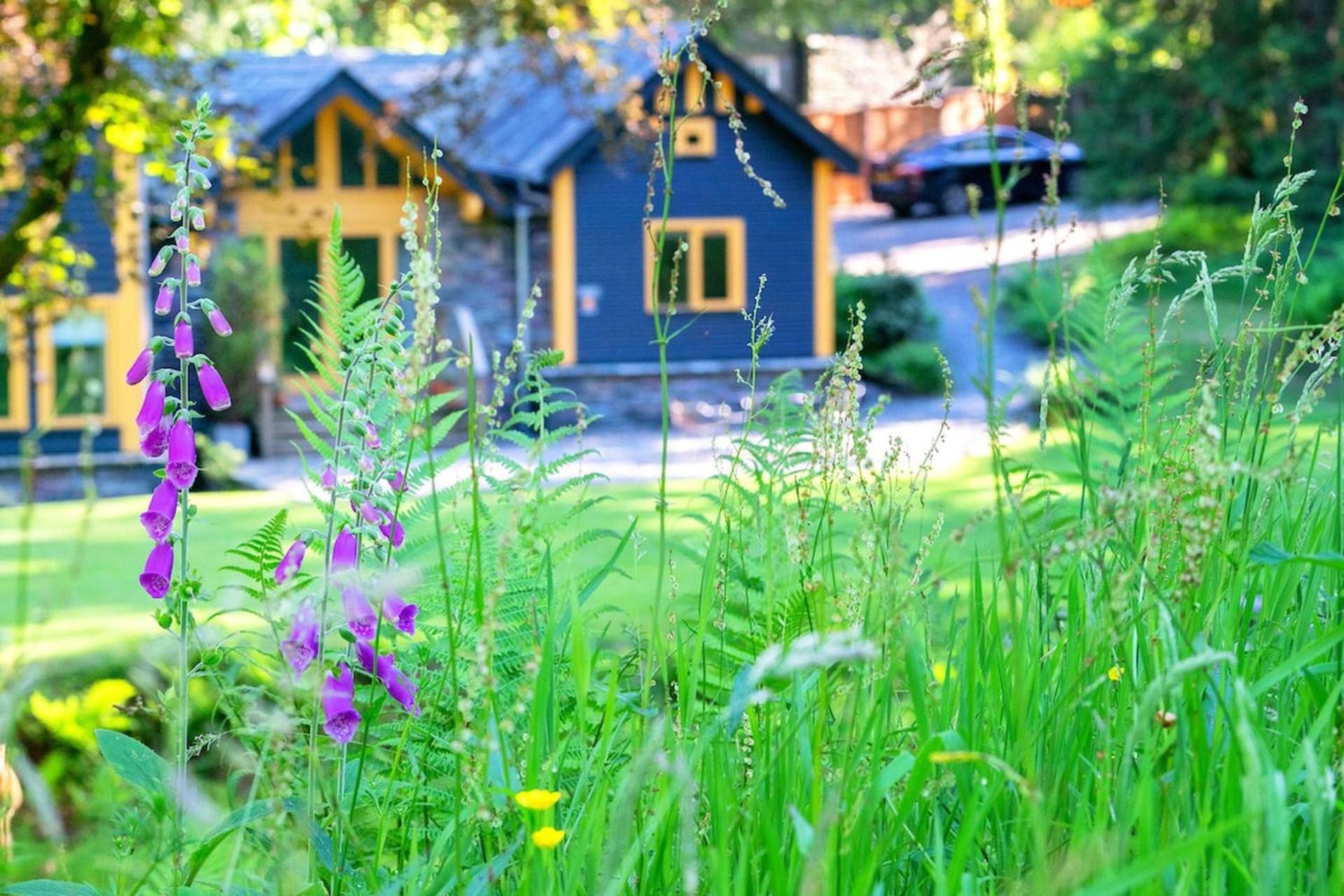 Carr Crag Pavilion Little Langdale ภายนอก รูปภาพ